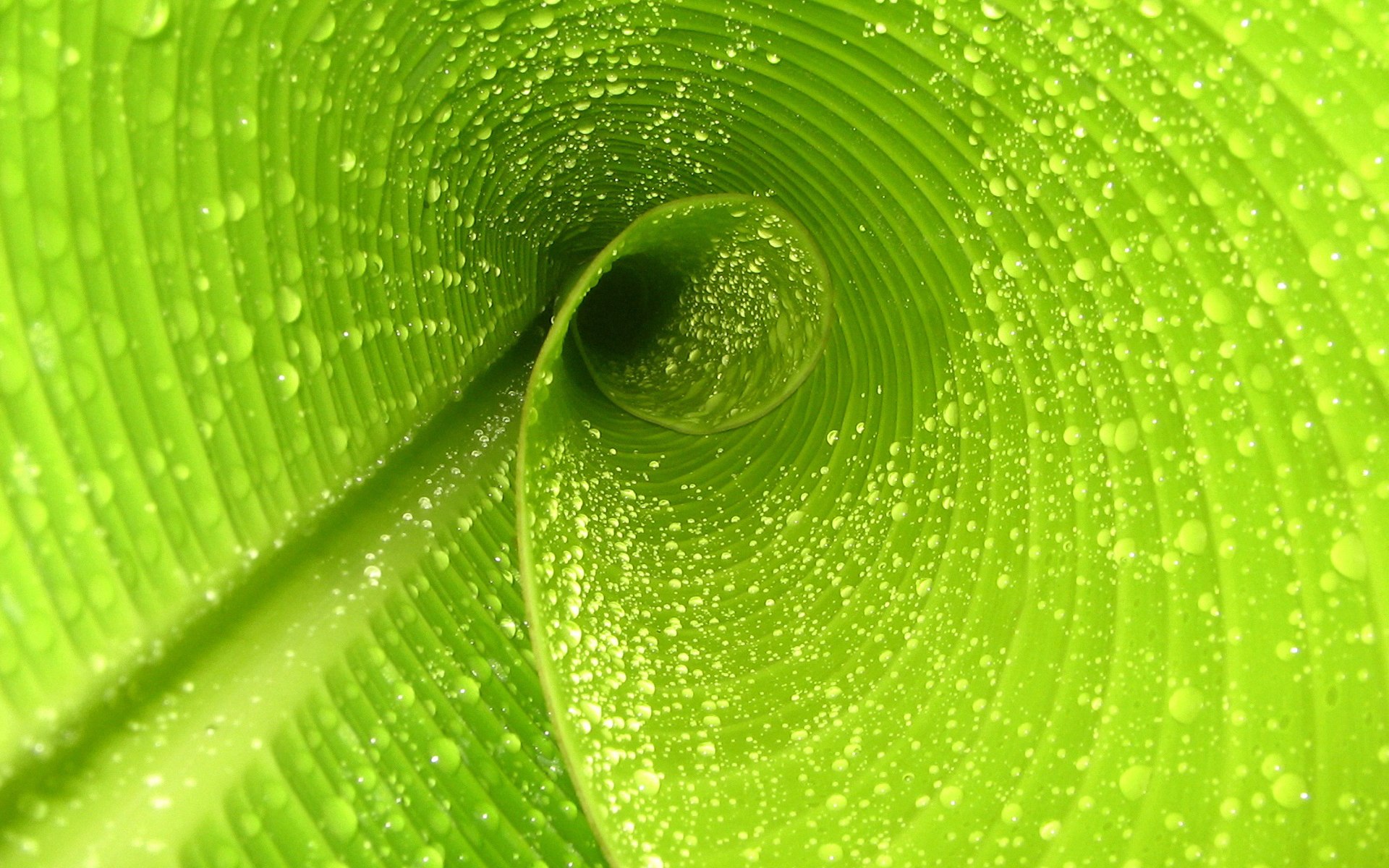 世界学生越野滑雪少年杯:雪况应对决定名次,越野滑雪技术比赛
